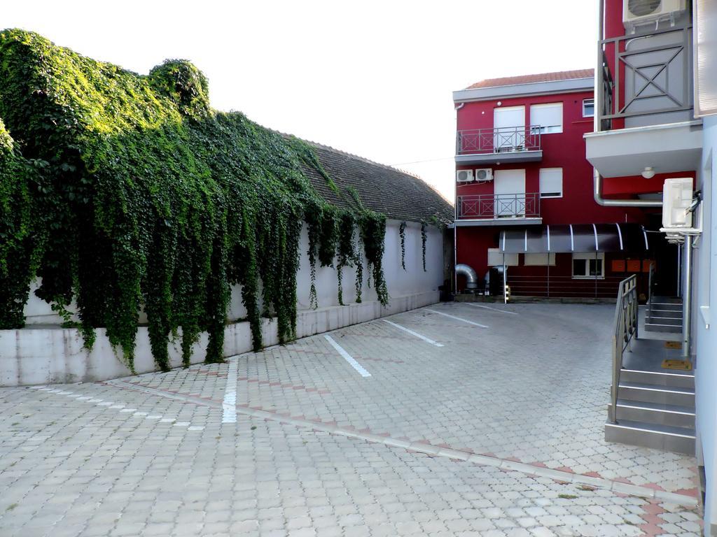 B&B Zmajevo Gnezdo 021 Sremska Kamenica Exteriör bild