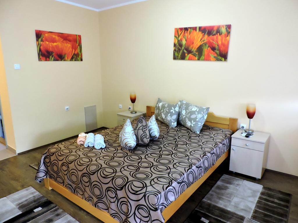 B&B Zmajevo Gnezdo 021 Sremska Kamenica Rum bild
