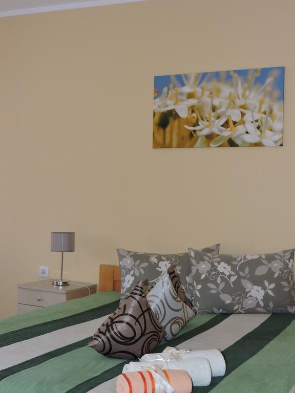 B&B Zmajevo Gnezdo 021 Sremska Kamenica Rum bild