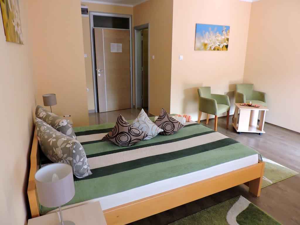 B&B Zmajevo Gnezdo 021 Sremska Kamenica Rum bild