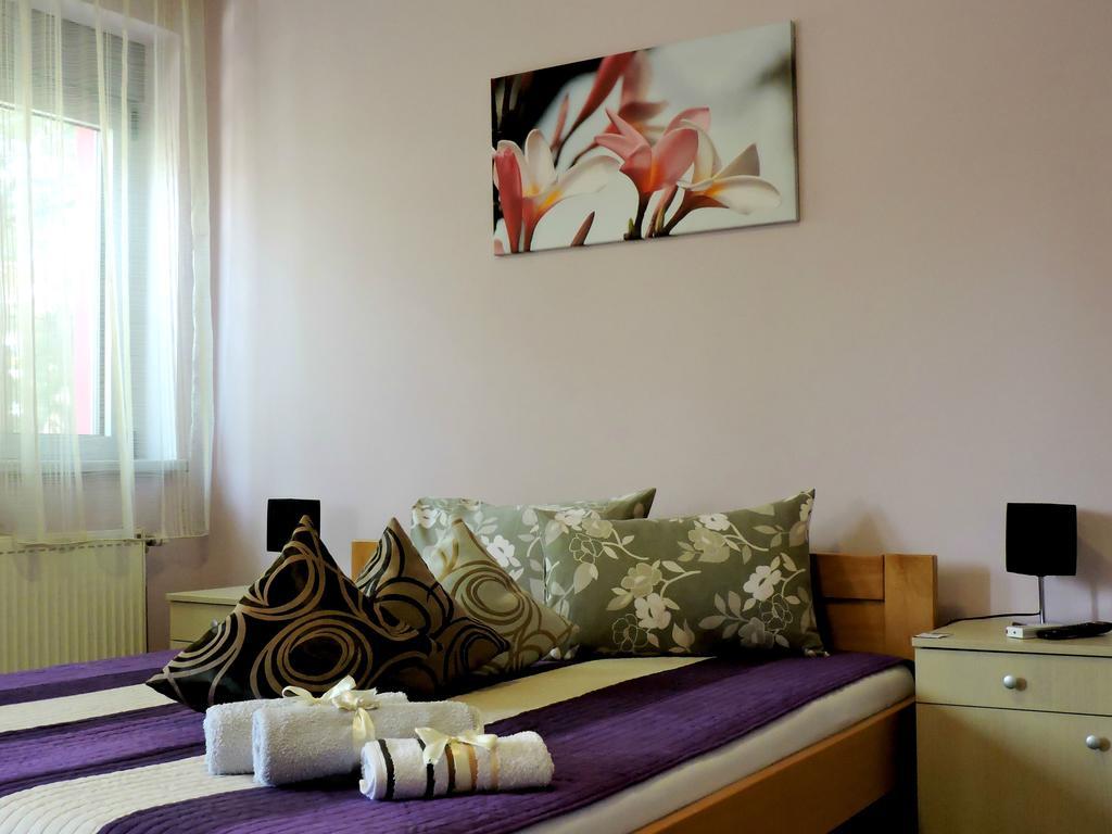 B&B Zmajevo Gnezdo 021 Sremska Kamenica Rum bild