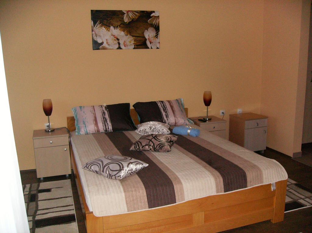 B&B Zmajevo Gnezdo 021 Sremska Kamenica Rum bild